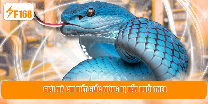Giải mã chi tiết giấc mộng bị rắn đuổi theo