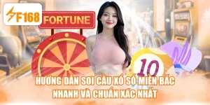 Hướng Dẫn Soi Cầu Xổ Số Miền Bắc Nhanh Và Chuẩn Xác Nhất